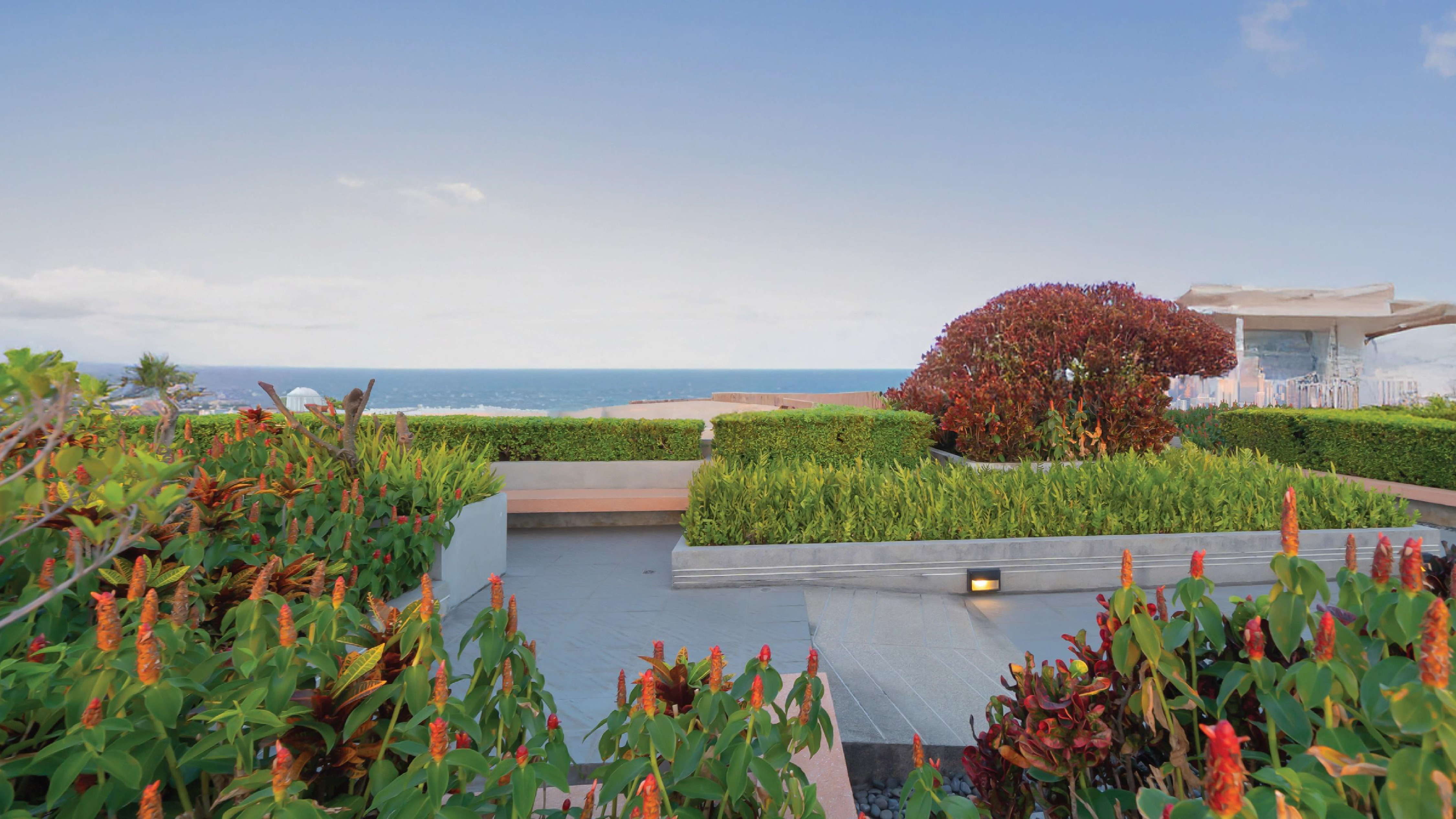 THE MAJESTÉ COLLECTION Gallery 12